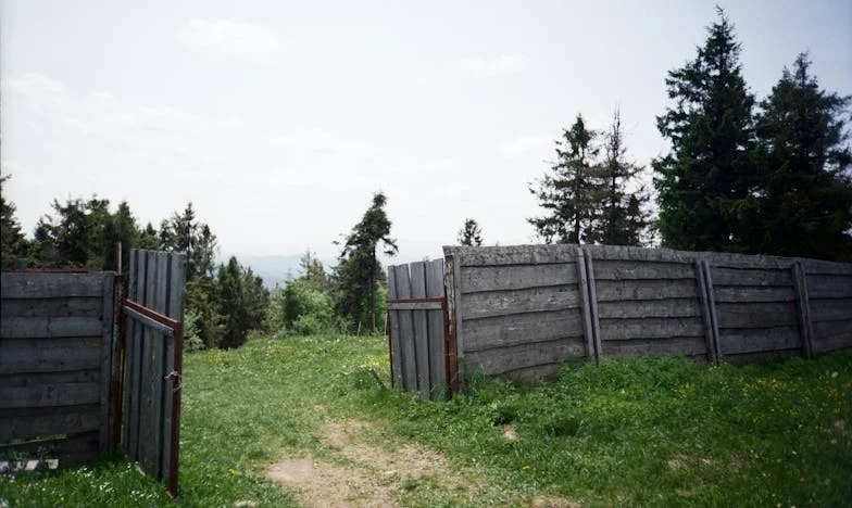 O testamento que rasgou a nossa família: A história de Maria de Braga